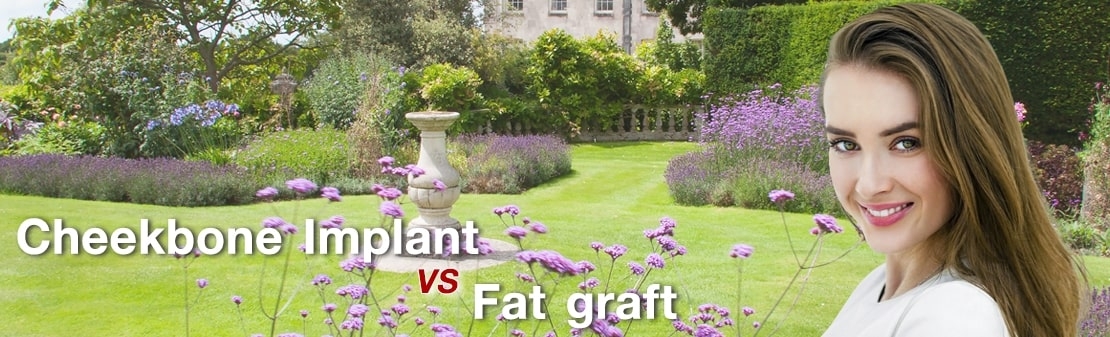 Cheekbone Implant VS Fat Graft