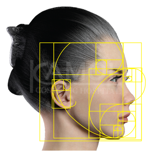 The_face_proportions_divided_by_horizontal_and_vertical_lines