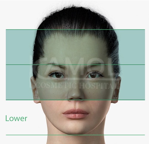 The_Lower_Part_of_Facial_Surgery