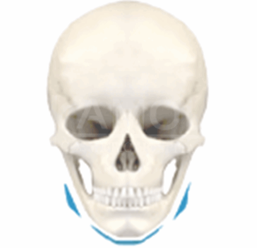 The_Middle_Part_of_Facial_Surgery