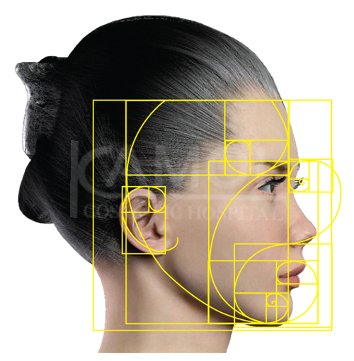 le proporzioni del viso divise per linee orizzontali e verticali