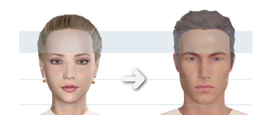 The difference between males and female face