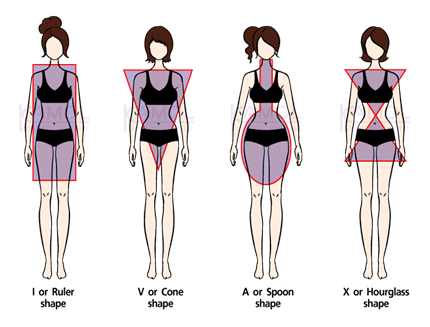 body_proportions_in_females.