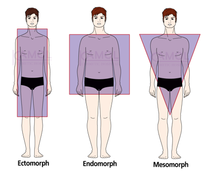 body_proportion_in_Male